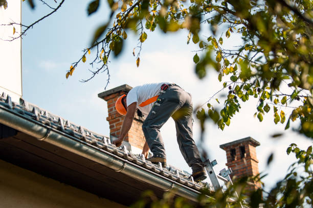 Best Roof Leak Repair  in Dexter, MI