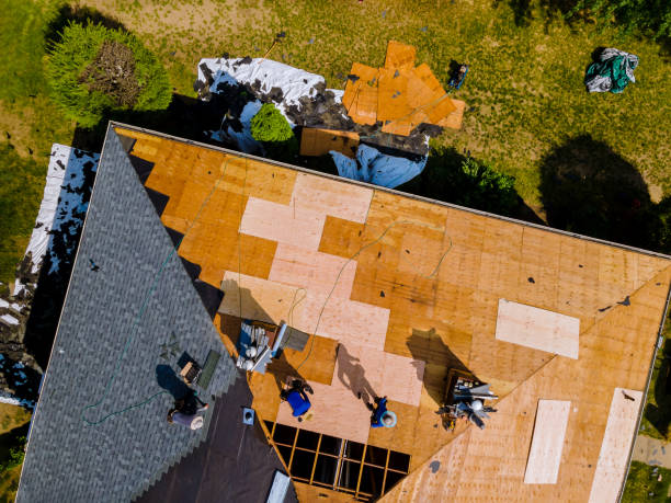 Best Tile Roofing Contractor  in Dexter, MI