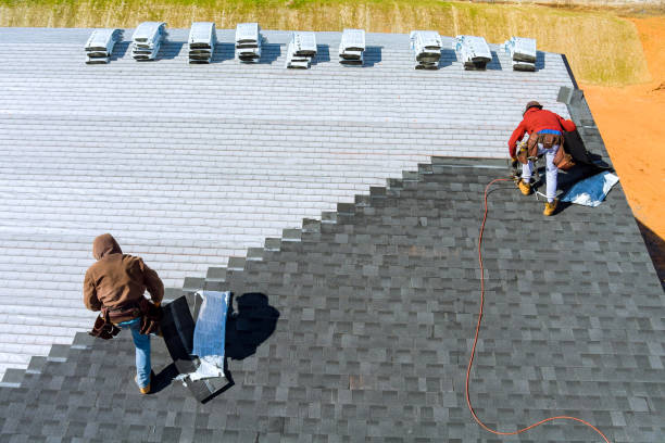 Best Roof Waterproofing Services  in Dexter, MI
