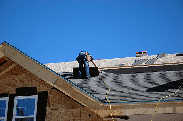 Best Storm Damage Roof Repair  in Dexter, MI