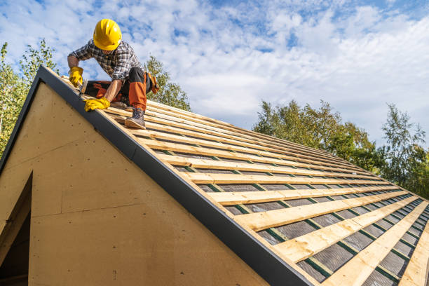 Best Shingle Roofing Installation  in Dexter, MI
