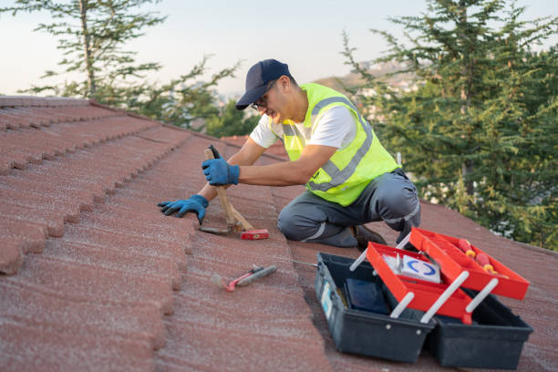Best Storm Damage Roof Repair  in Dexter, MI