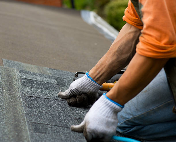 Best Local Roofing Companies  in Dexter, MI