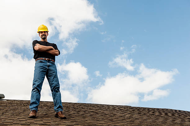 Best Roof Gutter Cleaning  in Dexter, MI