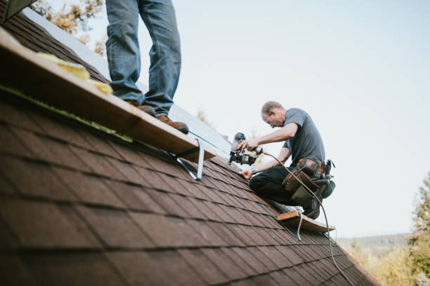 Best Storm Damage Roof Repair  in Dexter, MI