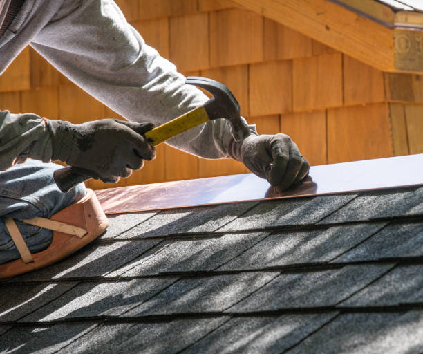 Best Roof Maintenance Services  in Dexter, MI